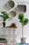 Artificial Plants in a Room samples of styling ShopWildThings.com