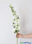 White Tall Floral Stem