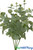 Eucalyptus Spray - Extra Full 20" Near to Real Bendable Greenery Bush | ShopWildThings.com