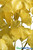 Yellow Leaves Artificial Trees ShopWildThings.com