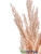 Artificial Flocked Pampas Burst Grass Spray 31"Taupe | ShopWildThings.com