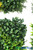 Living Wall Greenery Backdrops 40" x 40" Landscape Mat Panels ShopWildThings