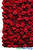Red and Dark Red Ready to hang full size flower wall ShopWildThings Premium Artificial Roses Backdrops