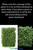 Side by Side Comparison Artificial Greenery Wall Backdrop ShopWildThings.com