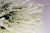 White Mixed Floral Garlands Ceiling Decoration on Fabric Back, Hangs up in Seconds - ShopWildThings.com