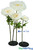 ShopWildThings Lifesize Cream Peony Flowers Come in Several Sizes and Colors