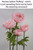 Pink Oversized Peonies Artificial Flower Props ShopWildThings.com