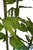 Giant Flowers Green Leaves Artificial Props ShopWildThings