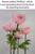 Closed Petals Peonies ShopWildThings Artificial giant flowers