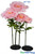 Oversized XXL Pink Peony Flowers Come in Several Sizes and Colors ShopWildThings