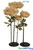 Sand Colored Oversized XXL Peony Flowers Come in Several Sizes and Colors ShopWildThings