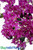 Artificial Bougainvillea Spray, Extra Large ShopWildThings.com