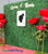 Create a “Queen of Hearts” inspired photo backdrop wall using FR Boxwood Greenery Panels and Oversized Jumbo Roses, all from ShopWildThings.com