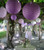Round Paper Lantern 16" Purple