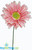 Find Colorful Oversized Daisies, Roses & Sunflowers for Photo and Party Fun at ShopWildThings.com