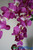 Tropical Magenta Faux Flowers for Bouquets, Centerpieces, Wedding Arches, Floral Chandeliers | ShopWildThings.com