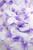 Silk Rose Petals - Purple & White - Bag of 300 pcs
