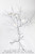 COMING SOON! Metal Candle Tree Silver with Clear Beads - 5 cups, 36"  tall