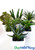 Assorted Faux Succulents in Pots, 6 Cactus Varieties in 3" Ceramic Vases, ShopWildThings.com