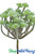 Artificial Green Velvet Succulent, Bendable Stem Fake Cactus by ShopWildThings.com