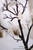 Bendable branches black manzanita tree in freestanding base ShopWildThings.com