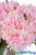 Artificial Silk Pink Hydrangea Flower for Centerpieces and Displays ShopWildThings