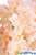 Flower Close-ups Peach Silk Flowers Dogwood Cherry Blossom ShopWildThings.com