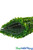 Flexible Greenery Wall Backdrop Kits, Portable Boxwood Wall | ShopWildThings.com