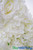 Large Cream Flower Backdrop, Portable Event Background Wall, Wedding Photo Background | ShopWildThings.com