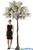 8.55' Tall Freestanding Cream Flowering Plum Tree Attached To Base Plate, Keep Branches Upright or Bend To Desired Look | ShopWildThings.com