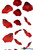 Red Rose Petal Garland | Large Silk Rose Petals | Wedding  Flower Garlands | ShopWildThings