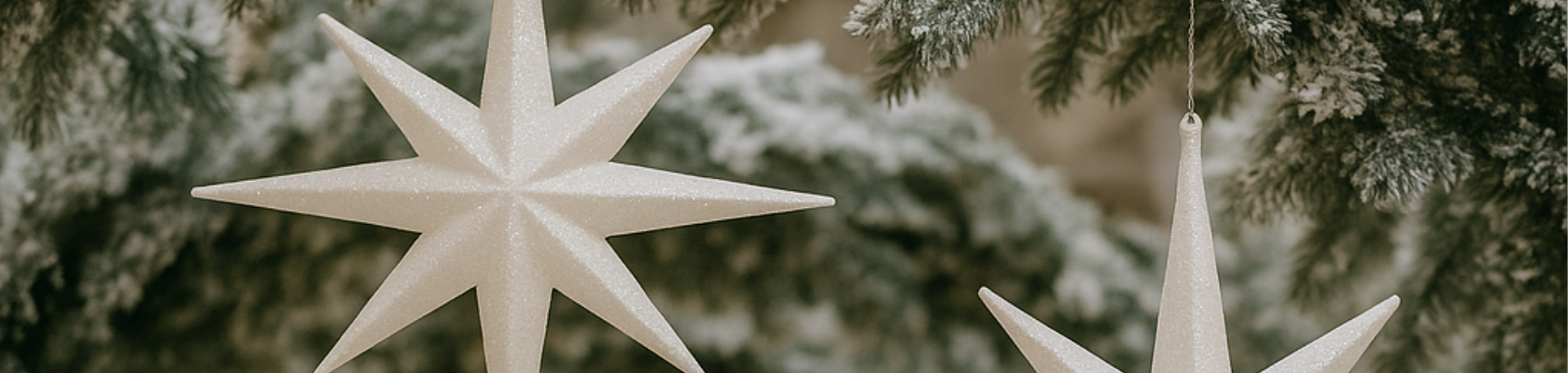 Ornaments 3-D - ShopWildThings