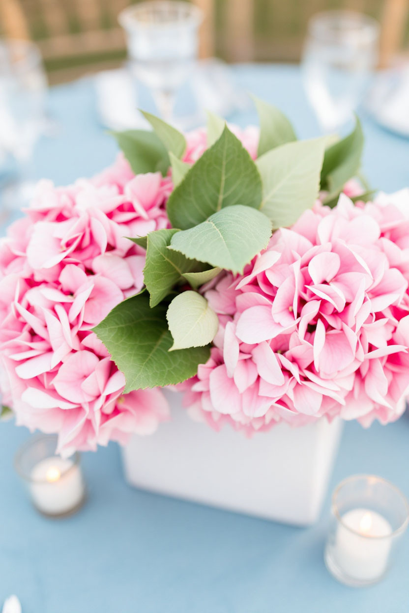 Romantic Pink Centerpiece Using a White Cube Vase Highlight lush pink hydrangeas in a crisp white vase for an understated, elegant floral accent that works across a variety of event styles.