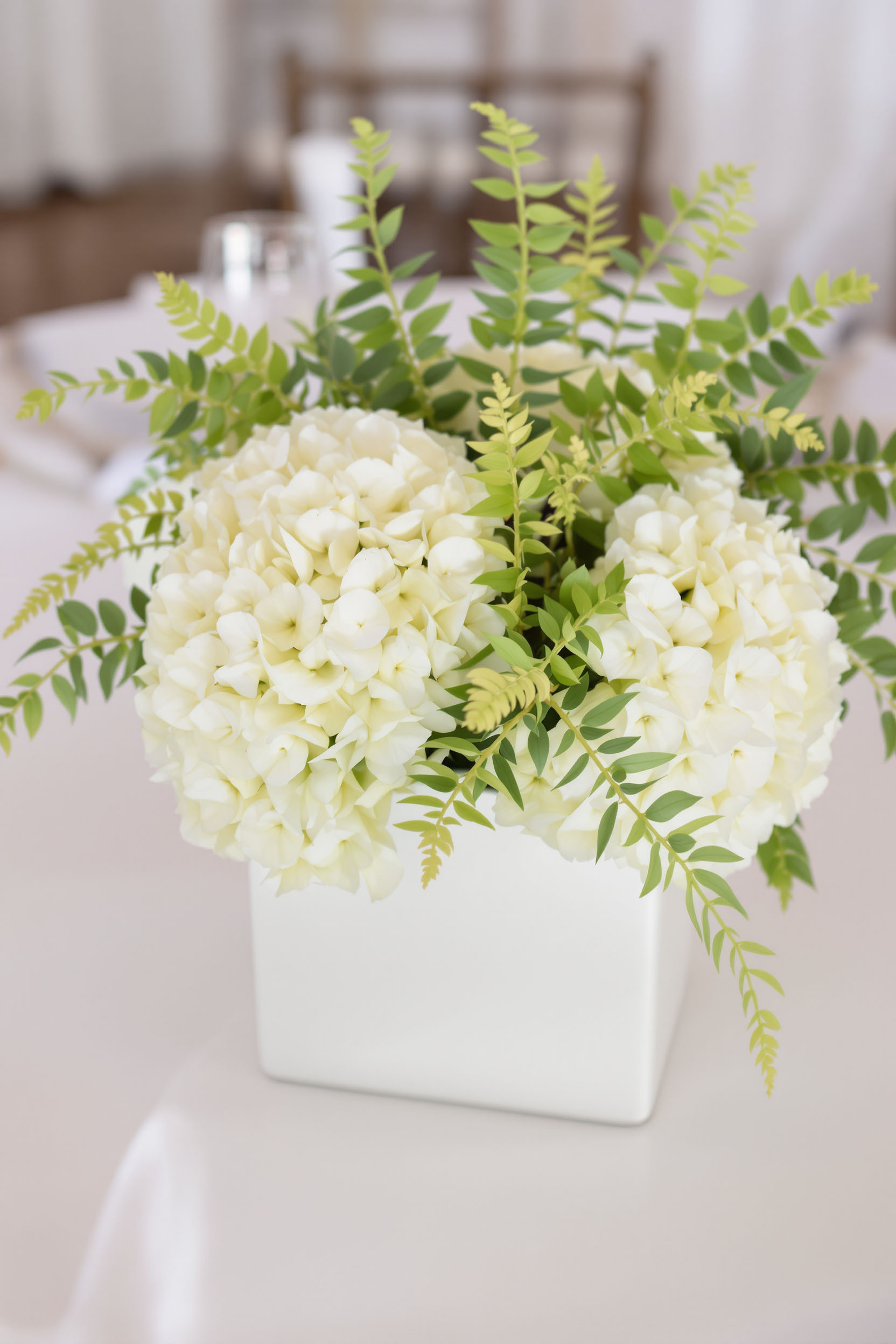 Classic White Hydrangea Centerpiece in a White Cube Vase This clean and timeless arrangement features white hydrangea paired with leatherleaf fern. Styled in a White Cube Vase, it’s perfect for weddings, corporate events, and any occasion that calls for understated elegance.