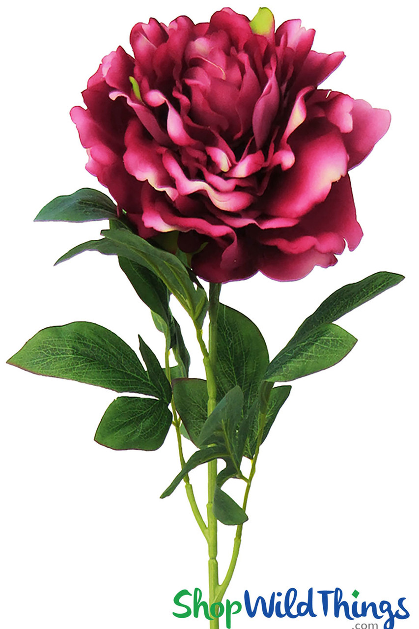 Image of Single Stem Flowers