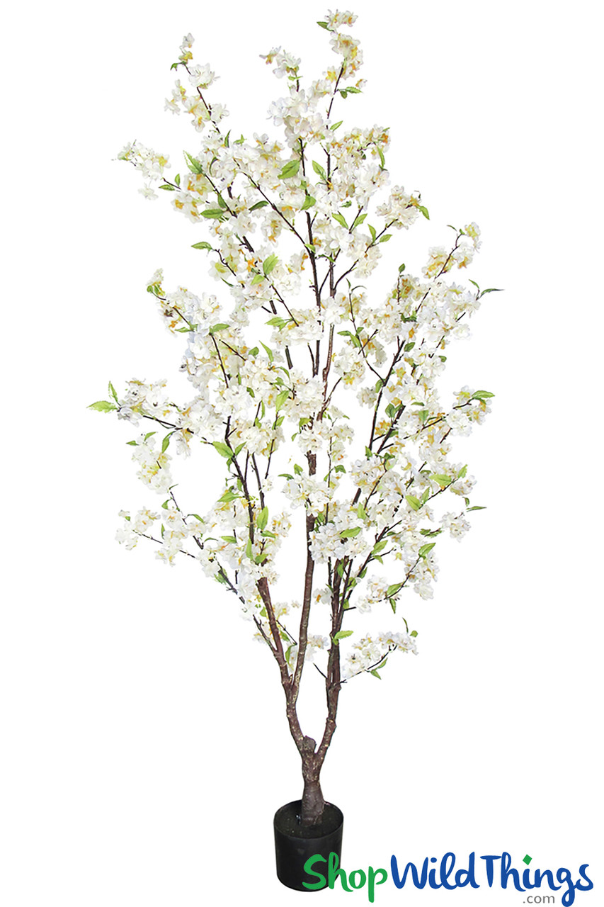 Image of Cecelia Potted Cherry Blossom Trees in Pink OR Cream RESTOCKED in 3 Sizes! 