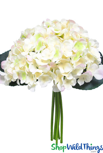 Pale Peach Hydrangea Bunch | 12