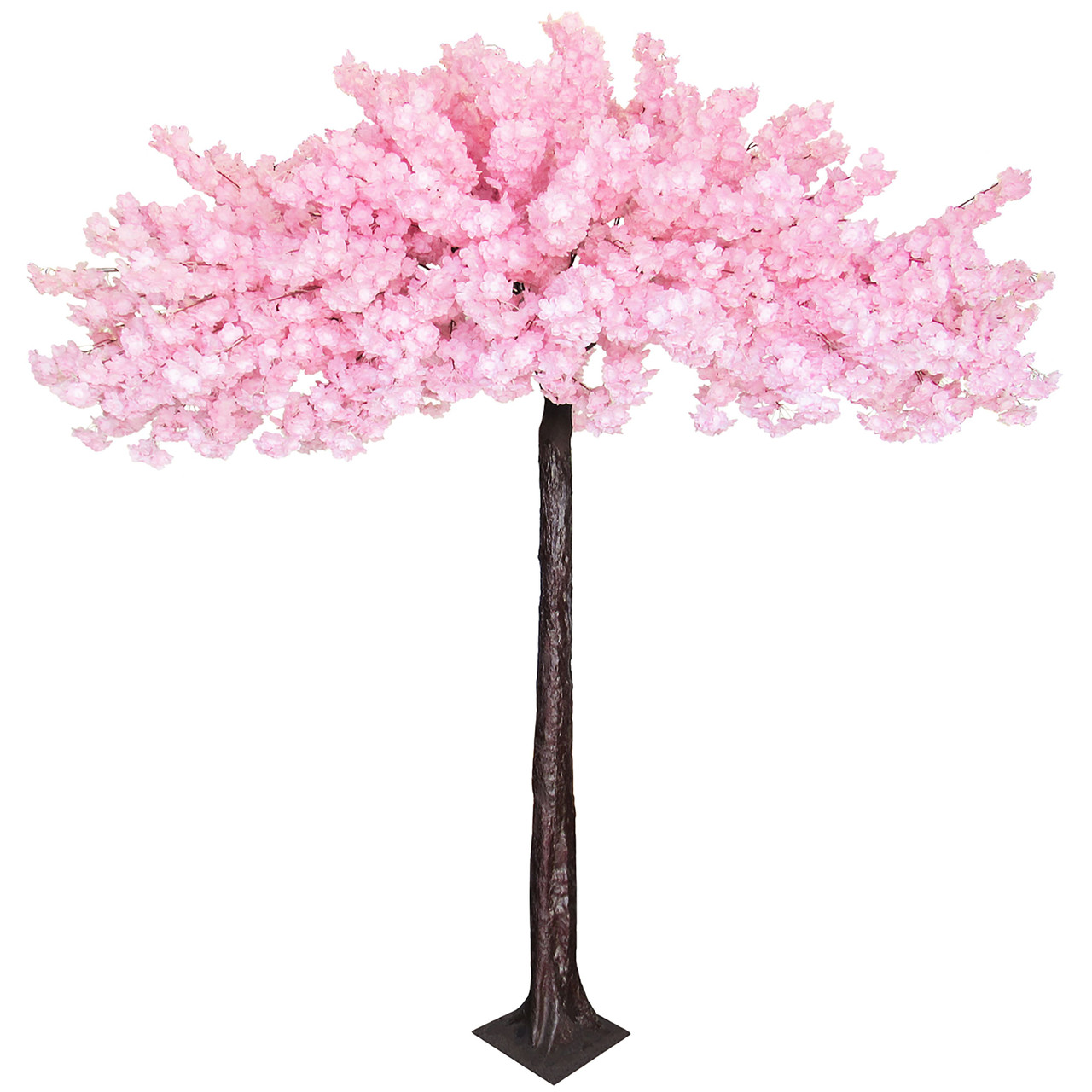 Image of Flowering Dogwood Tree 8'x8' - Huge Double Canopy Extra Full Flowers - Pink