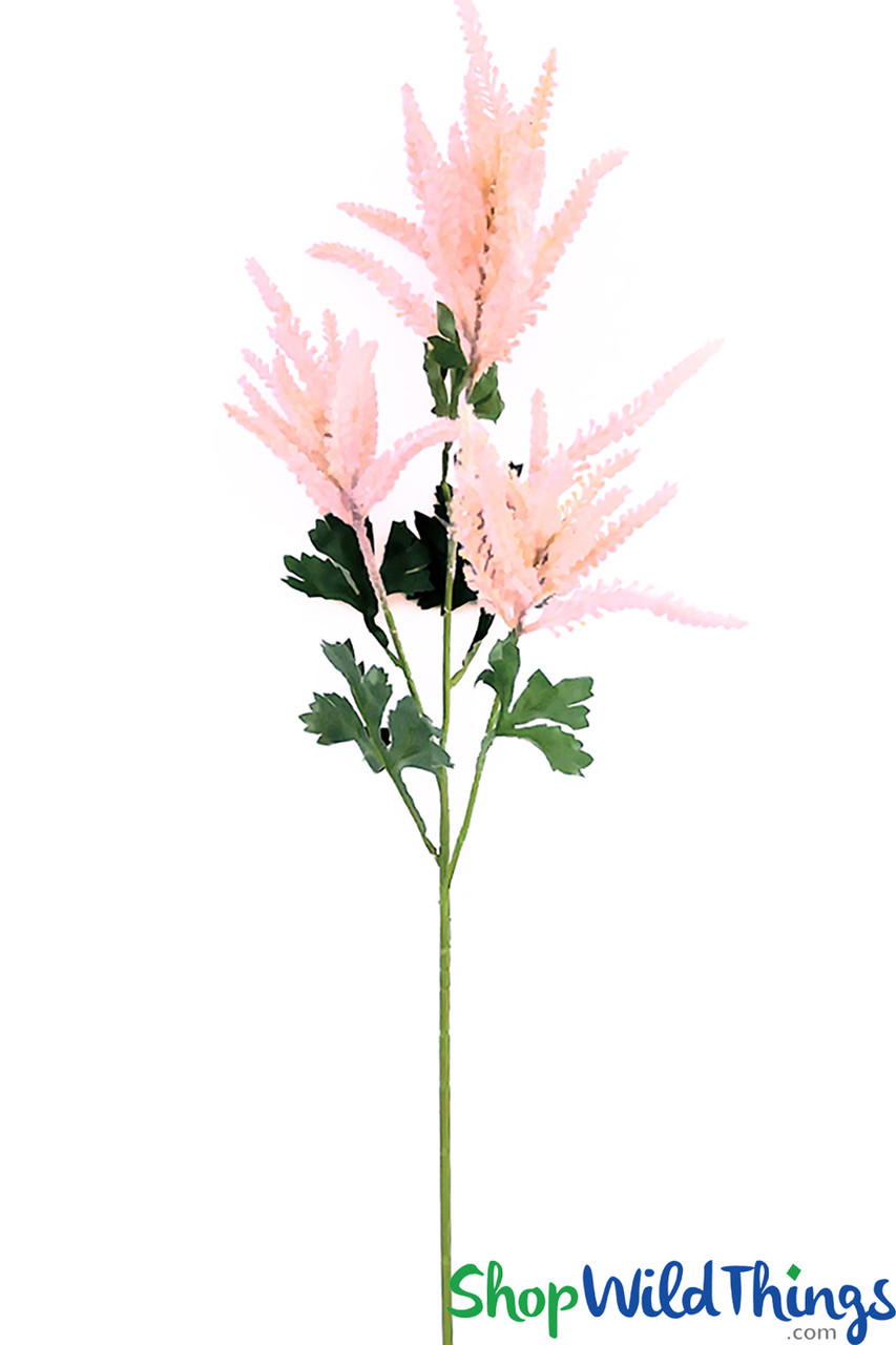 Image of NEW! Astilbe Cluster Spray, Goat Beard Spirea Stem - 38