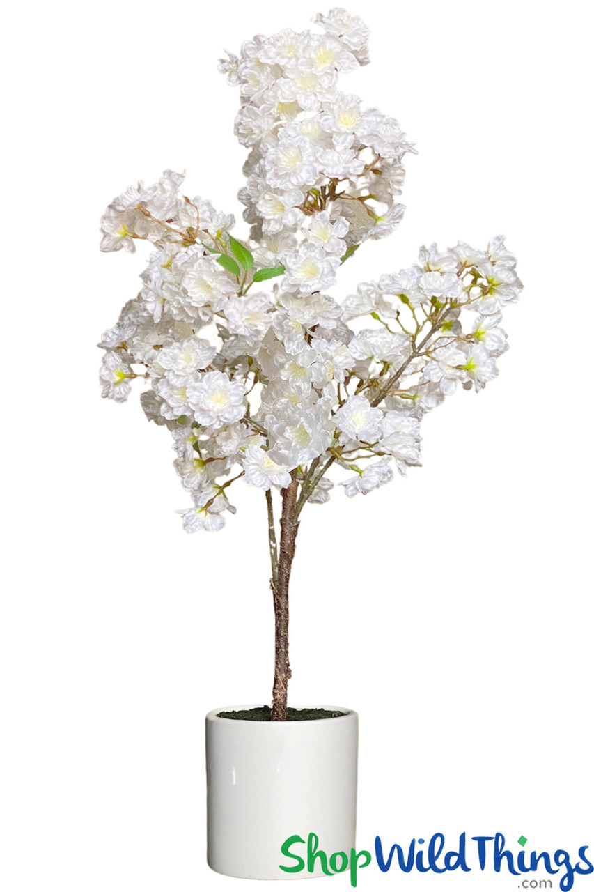 Image of $20 Off Tree in Ceramic Pot - 30"