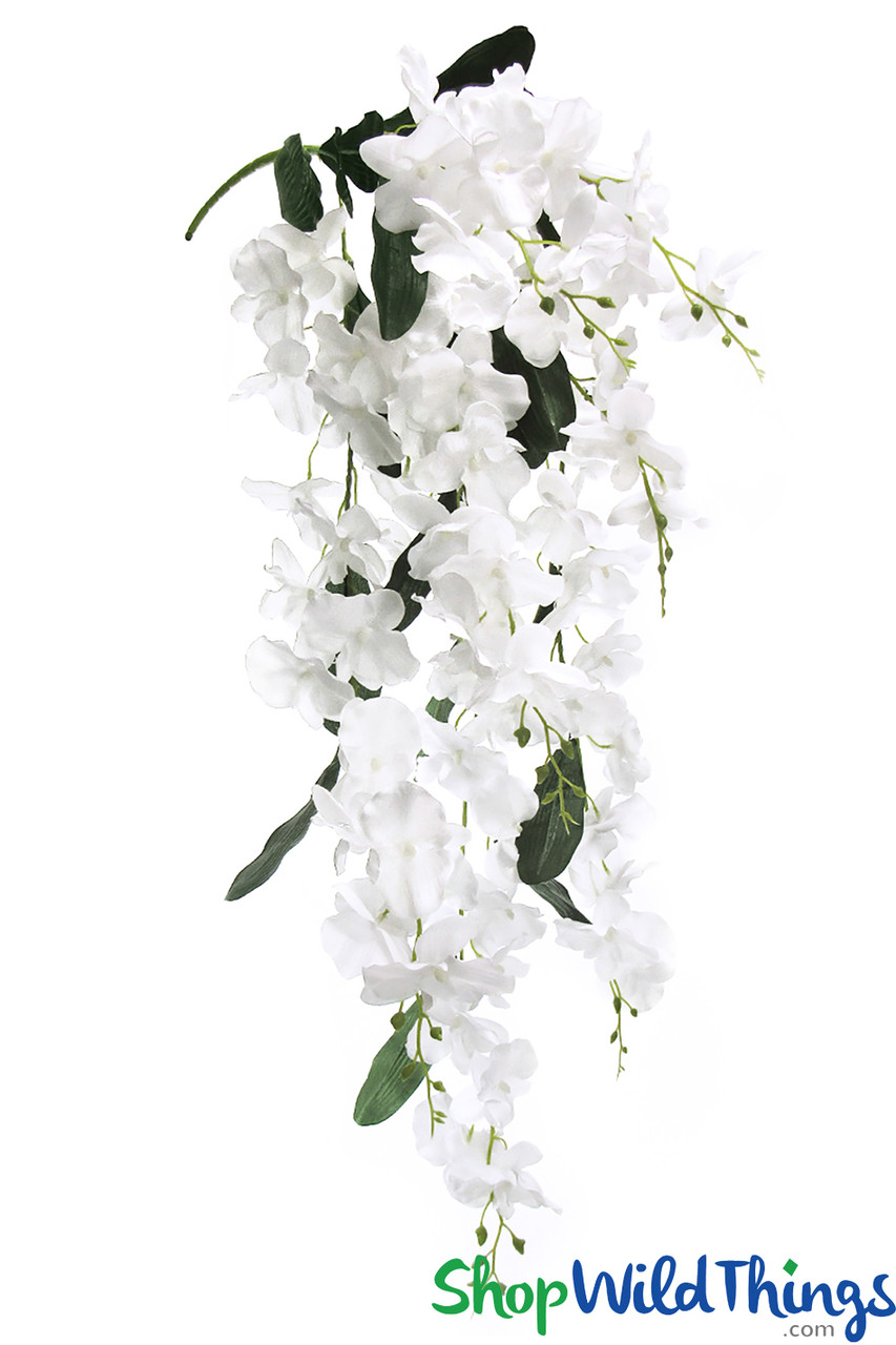 Image of Orchid Spray -  7 Shoots with Large Flowers - 40