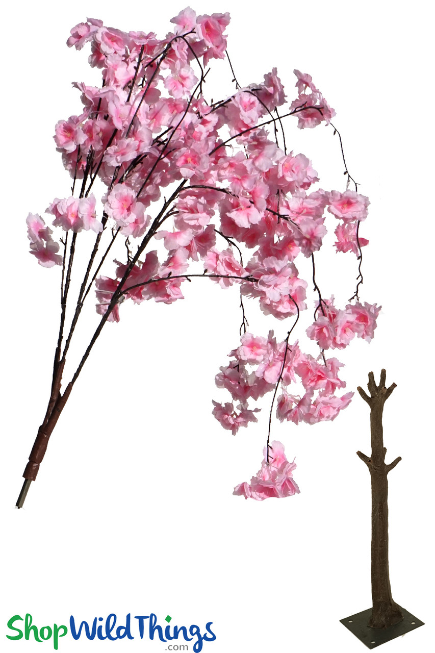 Image of Weeping Cherry Blossom Branch
