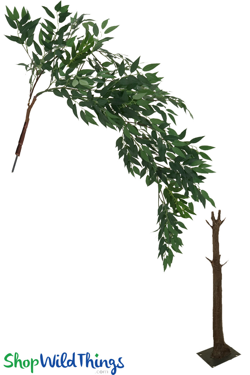 Image of Lower Prices on Interchangeable Branches