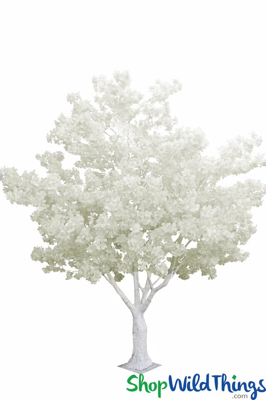 Image of "Leanna" Tree is 9 Feet Tall x 7.5 Feet Wide! White, Peach or Ice Blue