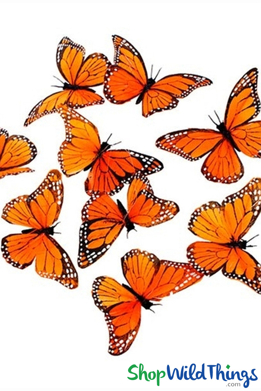 Image of NEW STYLE! Butterfly Garland - Monarch w/Real Feathers - 6.5' Long