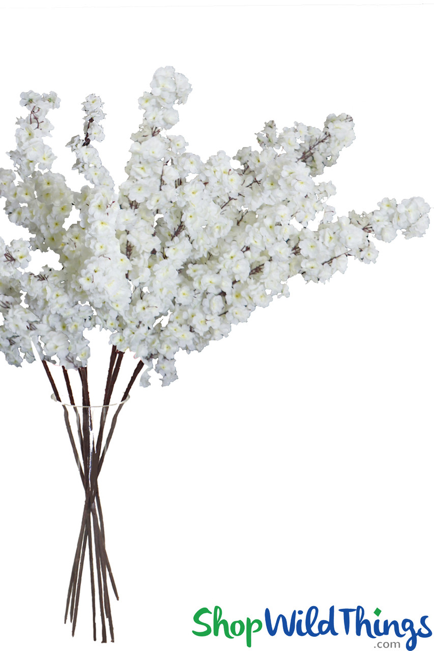 Image of 58" Extra Large Premium Dogwood
