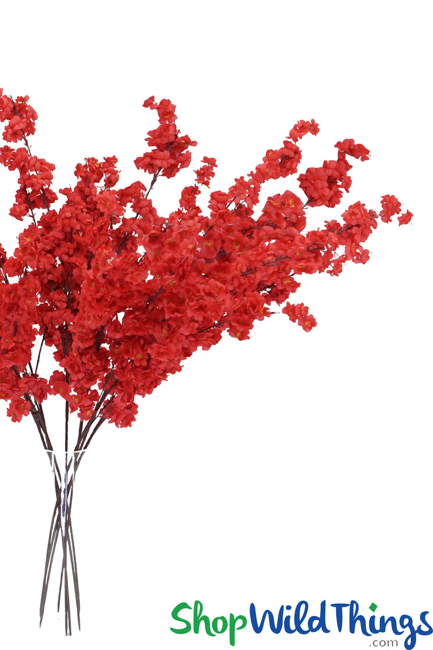 Image of Giant Dogwood
