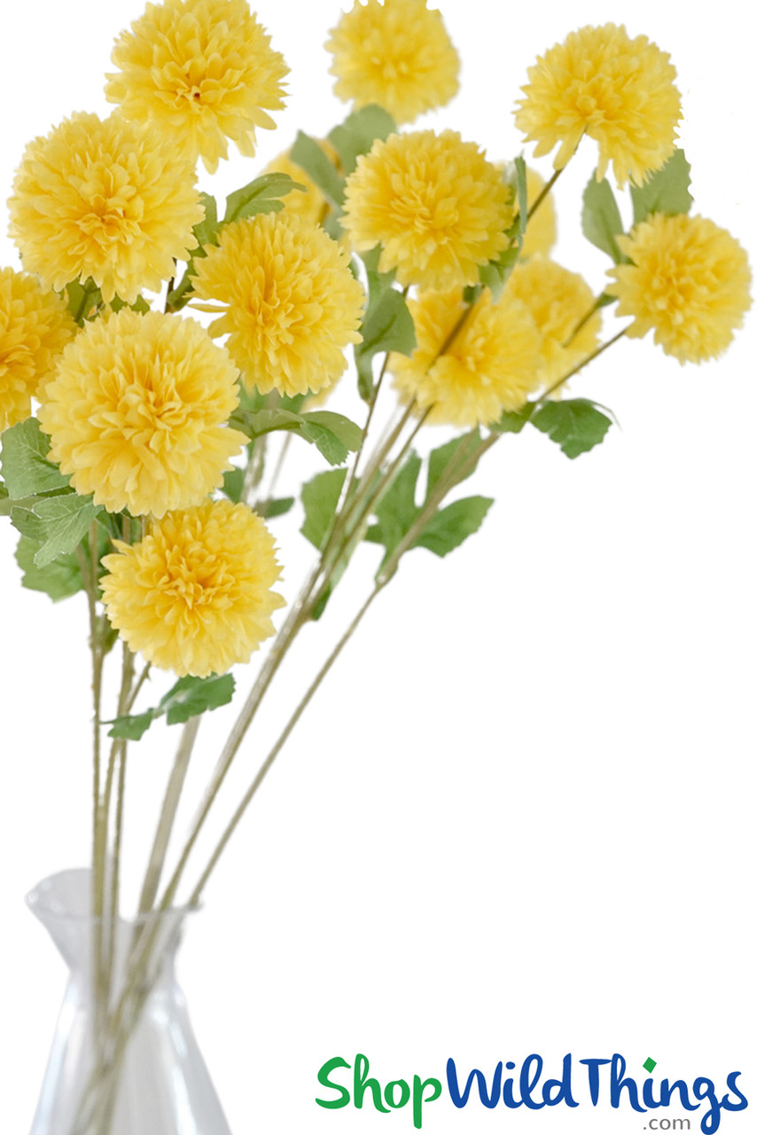 Image of Mums - 6 Colors