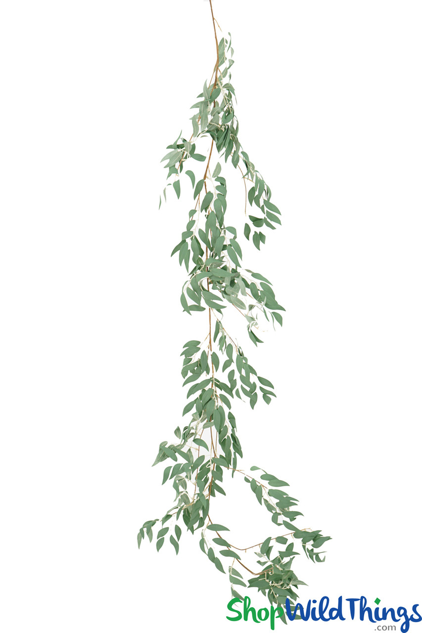 Image of 130 Kinds of Greenery in Stock