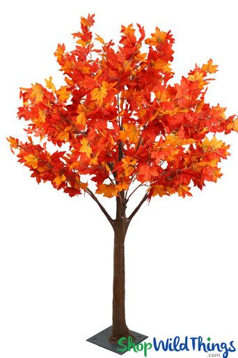 167150-early-autum-dream-